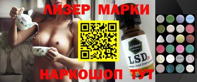 гидропоника Донской