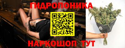 ECSTASY Заводоуковск