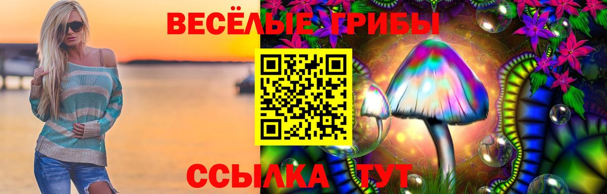 Галлюциногенные грибы Psilocybine cubensis Мелеуз